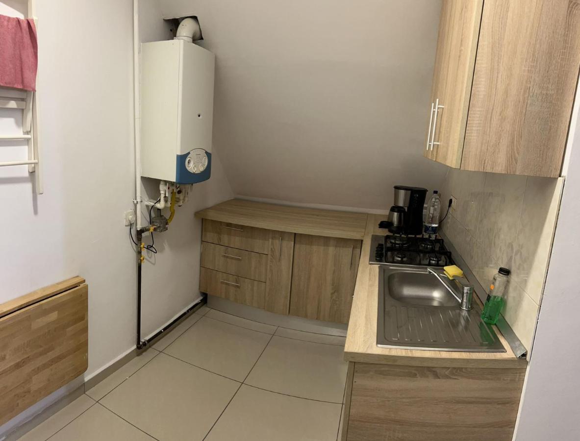 Chez Ana Apartment Otopeni Luaran gambar