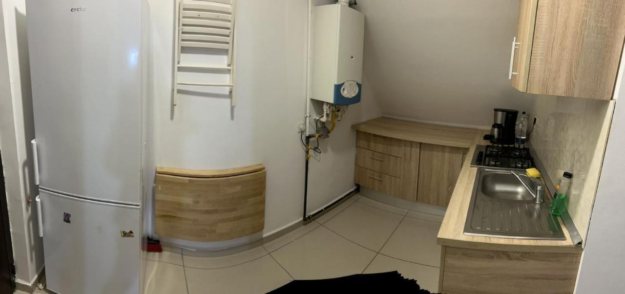 Chez Ana Apartment Otopeni Luaran gambar